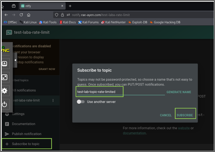 Test endpoint used for rate-limit validation